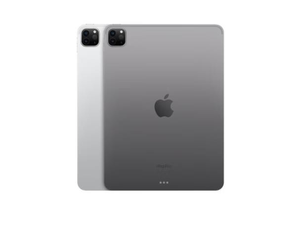 平板电脑 苹果（Apple）iPad Pro 11英寸 平板电脑 11英寸 【 1 TB 】【 灰色 】 5G版