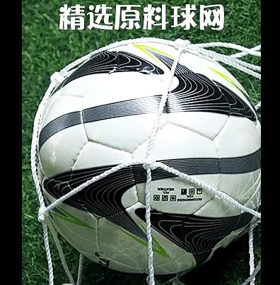 舒奈斯加粗足球网专业五人制足球网职业七人制11人制足球球门网 五人制绳径3MM专业比赛加粗型
