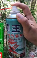 霸王杀天牛气雾剂 450ml