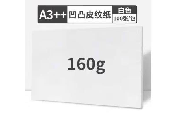 汇东A3++封皮纸 标书封皮纸 资料封面纸 凹凸皮纹云彩纸无线胶装纸卡纸封面纸 A3++ 160g 白色【100张】