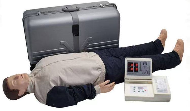 高级成人心肺复苏模拟人 KMU/CPR520全身