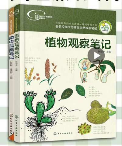 我的大自然观察笔记