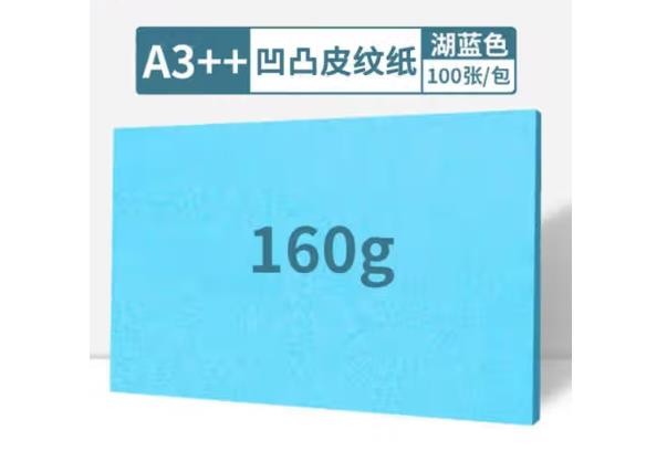 汇东A3++封皮纸 标书封皮纸 资料封面纸 凹凸皮纹云彩纸无线胶装纸卡纸封面纸 A3++ 160g 湖蓝【100张】