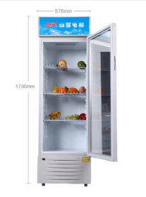 白雪（Baixue）展示柜商用226升 冷藏保鲜柜立式冷饮柜 茶叶饮料超市冷藏柜SC-226F