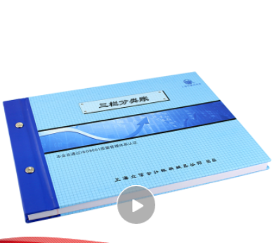 上海立信三栏分类账本多栏式明细账 记账本 活页账本账册100张/本（借贷式）含封面 BZ2601H