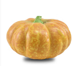 仿真南瓜