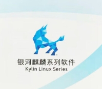 KYLINKYLIN-银河麒麟桌面操作系统V10 三年版 适用于国产各类型CPU