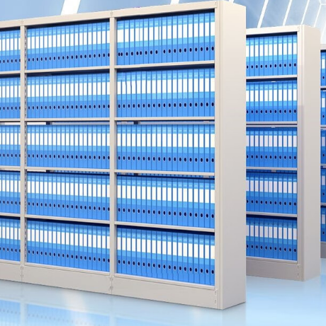 （定制）档案架 双面5层：4000*2200*550