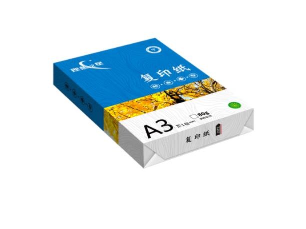 理想（RISO） 理想之星 80克A3复印纸 5包/箱 500张/包