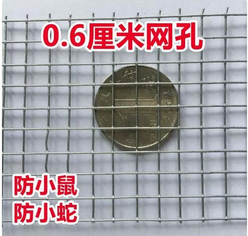 镀锌铁丝网钢丝网