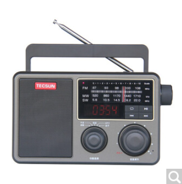 德生（Tecsun） RP-307便携式DSP数字解调老人收音机蓝牙链接U盘TF卡播放充电数码播放器 德生RP-307标配+充电器