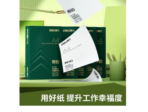 得力(deli)多功能A4打印纸 70g克500张*8包一箱 双面复印纸
