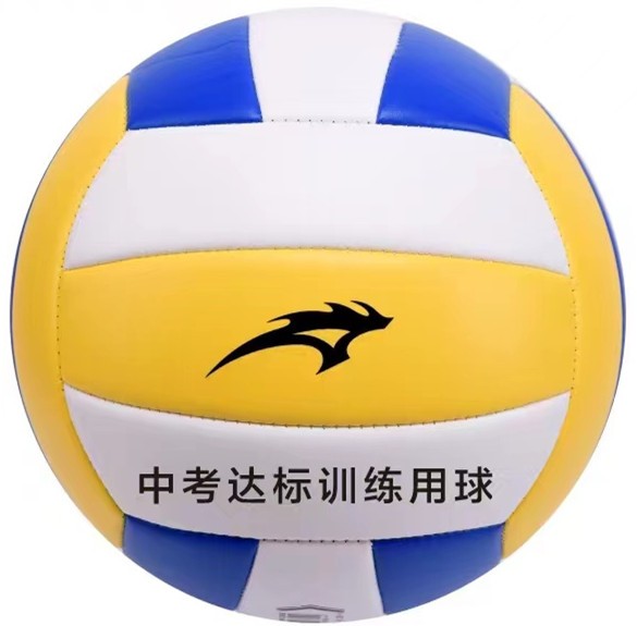 排球