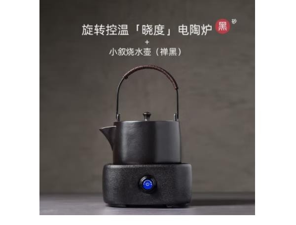 言和堂 电陶炉煮茶壶家用提梁烧水壶办公室茶炉小型自动煮茶器套装 小叙烧水壶+晓度电陶炉-黑砂