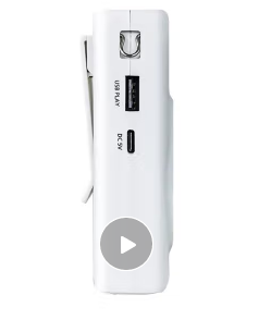 飞利浦SBM507小蜜蜂扩音器