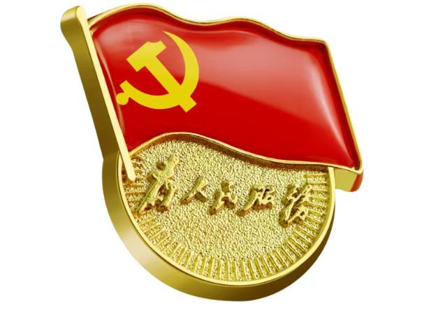 优和（UHOO）标准党徽胸章 别针磁扣蝴蝶扣为人民服务党员徽章 双磁扣（10个）装厚2mm 0244
