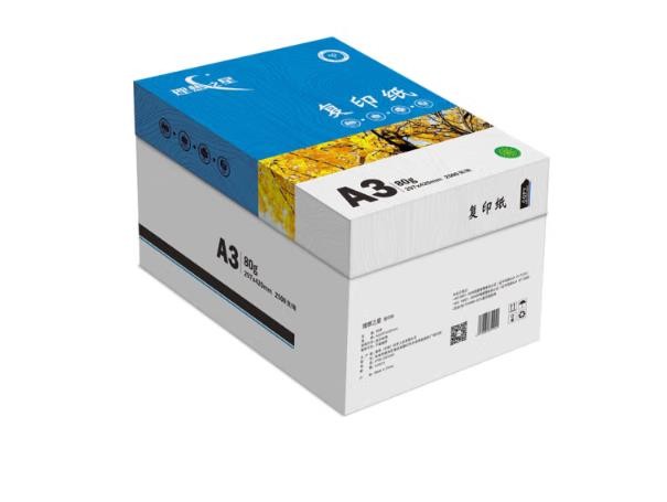 理想（RISO） 理想之星 80克A3复印纸 5包/箱 500张/包