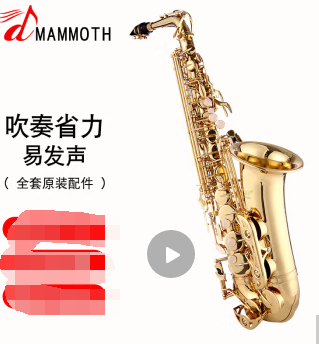 猛犸象萨克斯风降E调中音萨克斯乐器初学者入门演奏考级SAX A60